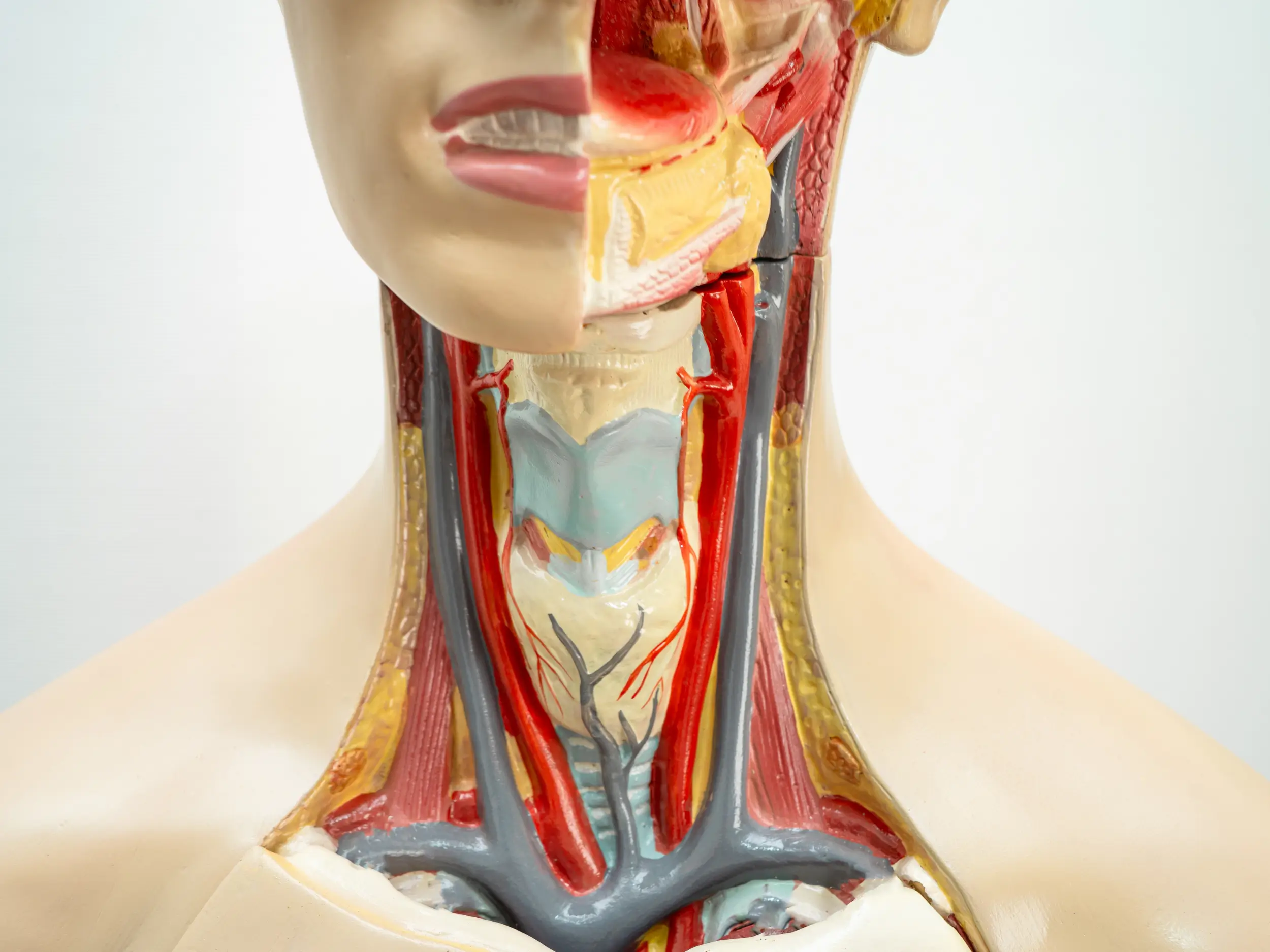 créneaux par jour 5