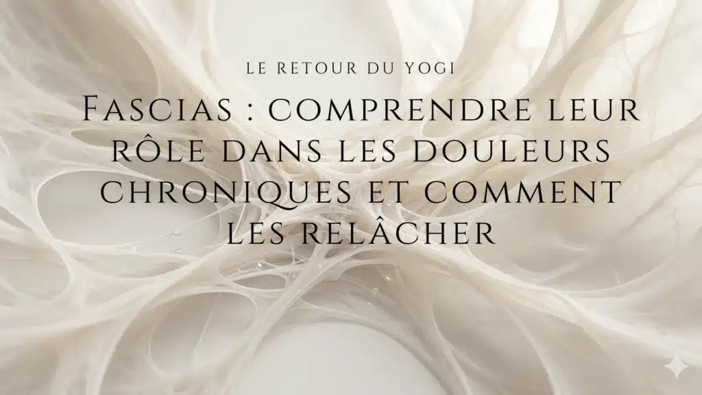 sans titre site web 3